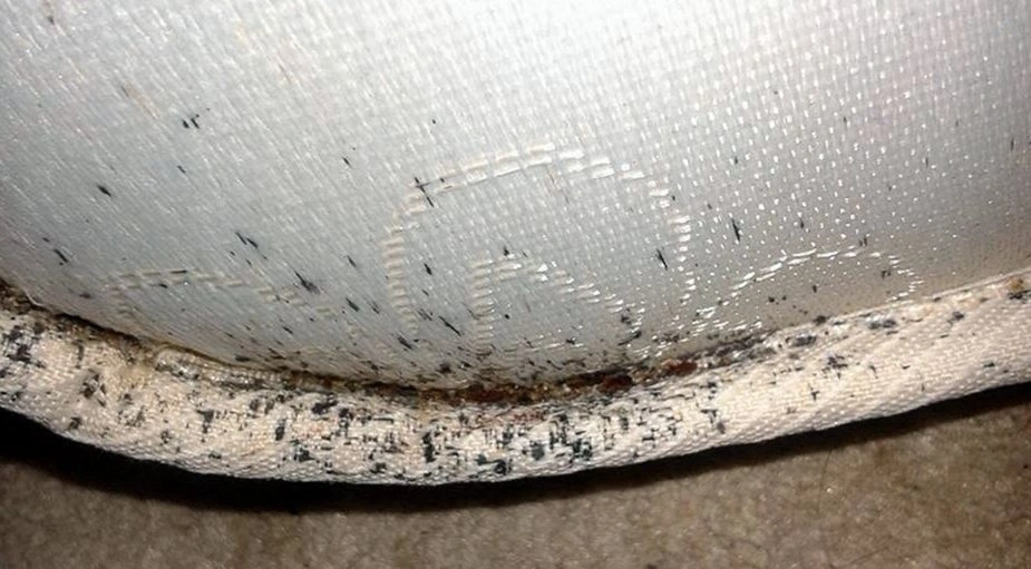 Routine Maintenance performed by Sheraden Pest Control in Pittsburgh, PA